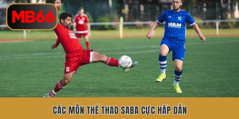 Các môn thể thao SABA cực hấp dẫn