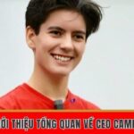 Giới thiệu về Ceo Camry