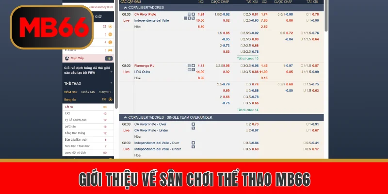 Giới thiệu về sân chơi thể thao MB66
