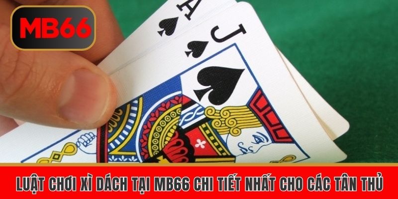 Luật chơi xì dách