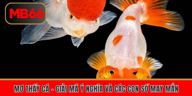 Mơ thấy cá