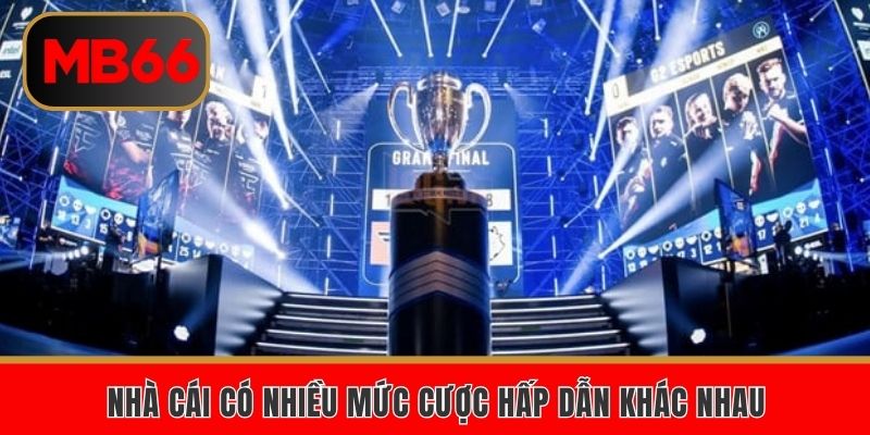 Nhà cái có nhiều mức cược hấp dẫn khác nhau